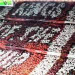 Kings of the cup Choreo