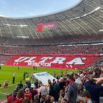 FC Bayern München – 1. FSV Mainz 05 – 29.10.2022